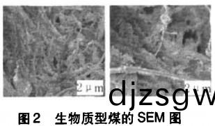 生(sheng)物(wu)質成(cheng)型(xing)煤sem圖(tu) 生(sheng)物(wu)質(zhi)成(cheng)型(xing)煤sem圖