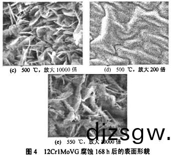 生物質鍋(guo)鑪(lu) 生(sheng)物(wu)質(zhi)鍋(guo)鑪(lu)