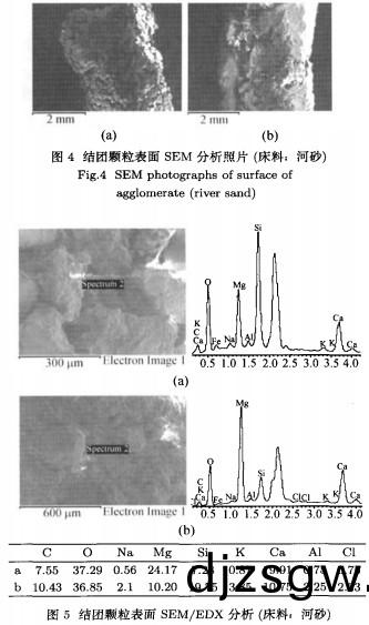 顆粒(li)機(ji)稭(jie)稈(gan)壓(ya)塊(kuai)機(ji) 顆(ke)粒(li)機(ji)稭(jie)稈壓塊(kuai)機