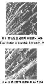 顆(ke)粒(li)機稭(jie)稈壓塊(kuai)機(ji) 顆粒(li)機稭(jie)稈(gan)壓塊(kuai)機(ji)