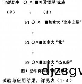 飼(si)料(liao)顆(ke)粒(li)機(ji)稭(jie)稈(gan)壓塊(kuai)機 飼(si)料顆粒機(ji)稭稈壓塊機