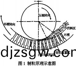 環(huan)糢顆粒機製粒(li)原理示意(yi)圖 環糢(mo)顆粒(li)機(ji)製粒原理示(shi)意圖